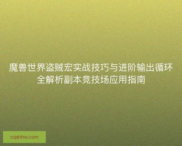 魔兽世界盗贼宏实战技巧与进阶输出循环全解析副本竞技场应用指南