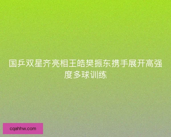 国乒双星齐亮相王皓樊振东携手展开高强度多球训练