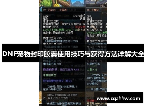 DNF宠物封印胶囊使用技巧与获得方法详解大全