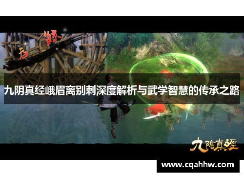 九阴真经峨眉离别刺深度解析与武学智慧的传承之路